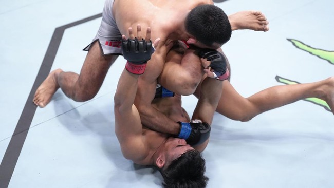 Variasi Respons Netizen Menyusul Kekalahan Jeka Saragih dalam Pertandingan UFC