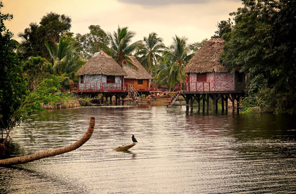 Cuba’s Natural Wonders: The Caribbean’s Largest Island