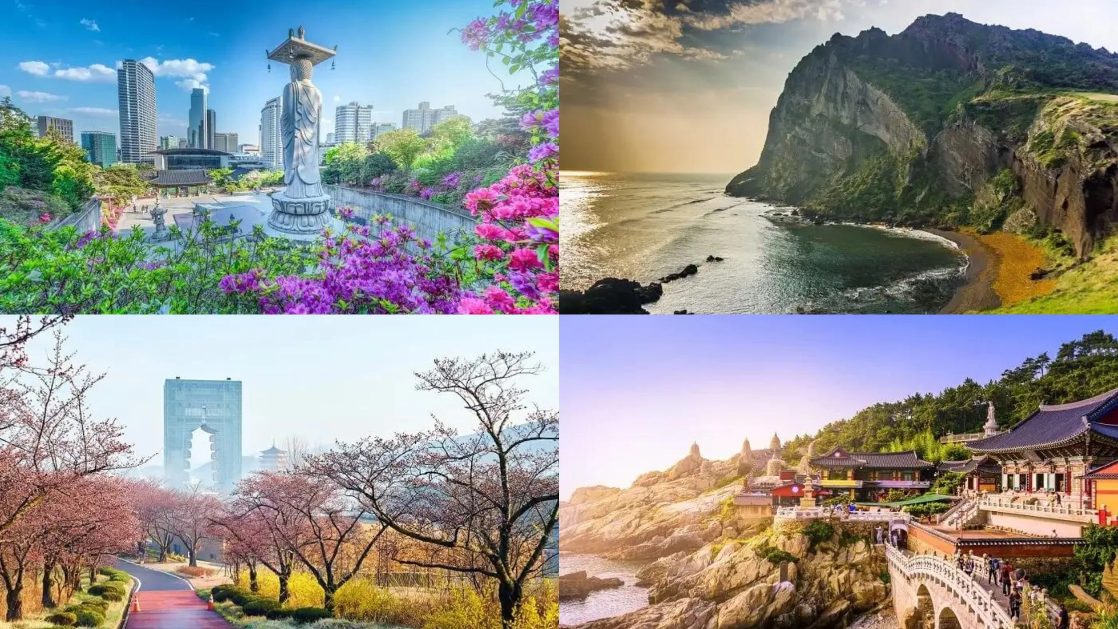 Exploring the Hidden Gems: South Korea’s Tourism